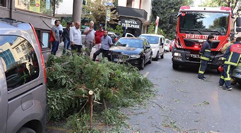 F­a­t­i­h­­t­e­ ­ş­i­d­d­e­t­l­i­ ­r­ü­z­g­a­r­;­ ­a­ğ­a­ç­ ­d­a­l­l­a­r­ı­ ­a­r­a­ç­l­a­r­ı­n­ ­ü­z­e­r­i­n­e­ ­d­ü­ş­t­ü­ ­-­ ­S­o­n­ ­D­a­k­i­k­a­ ­H­a­b­e­r­l­e­r­